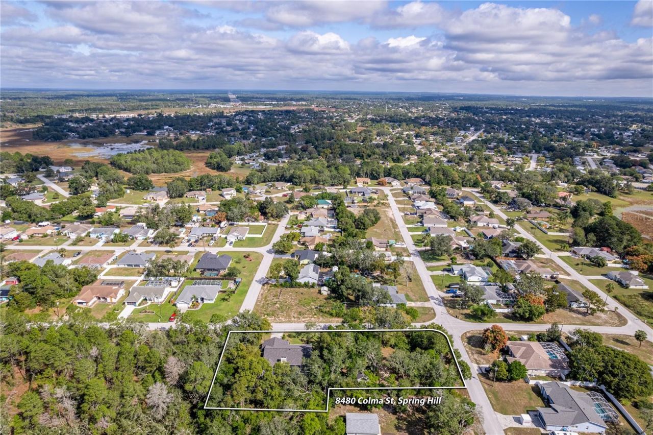 8480 Colma Street, Spring Hill, FL 34606 Photo