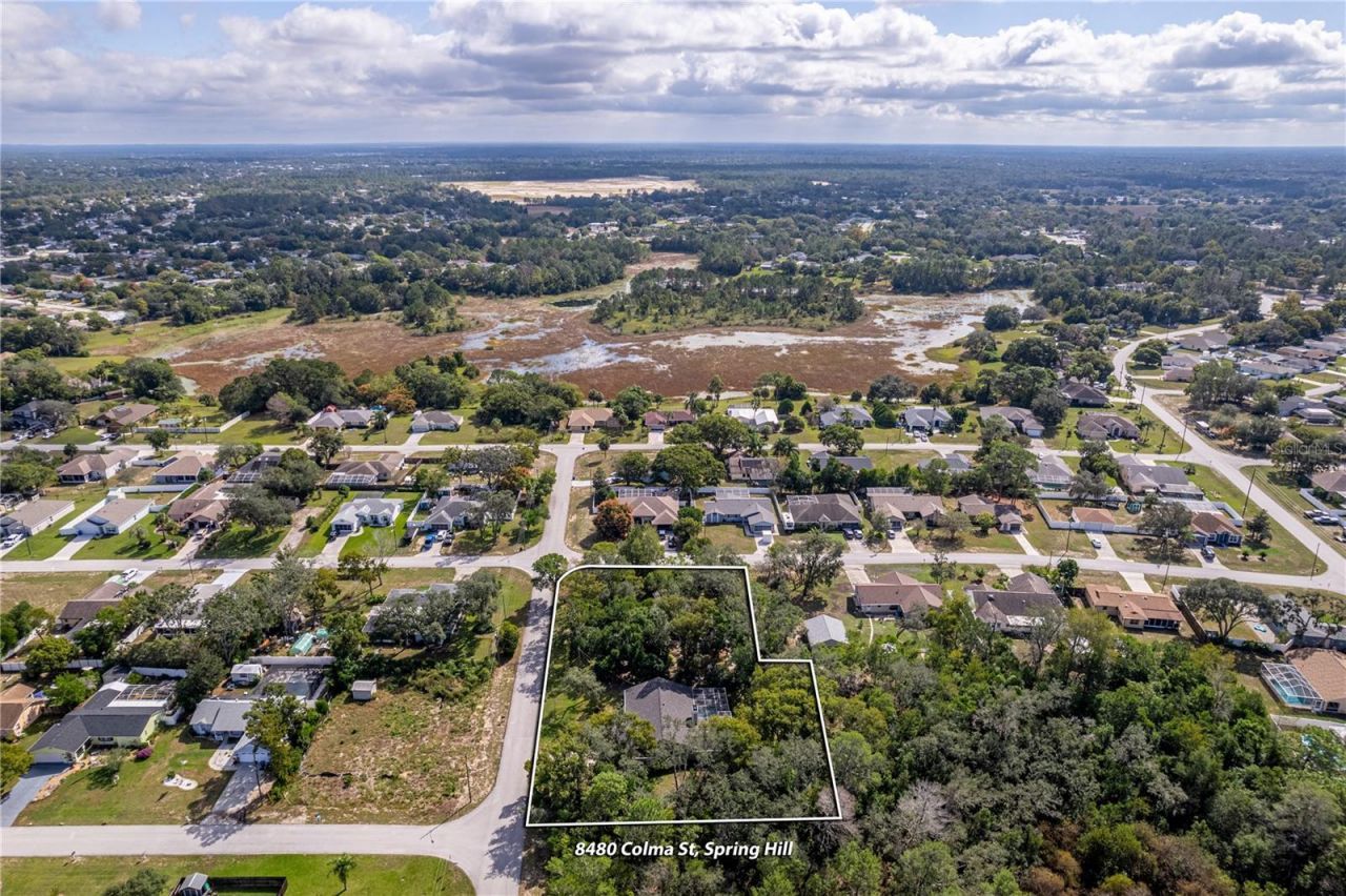 8480 Colma Street, Spring Hill, FL 34606 Photo