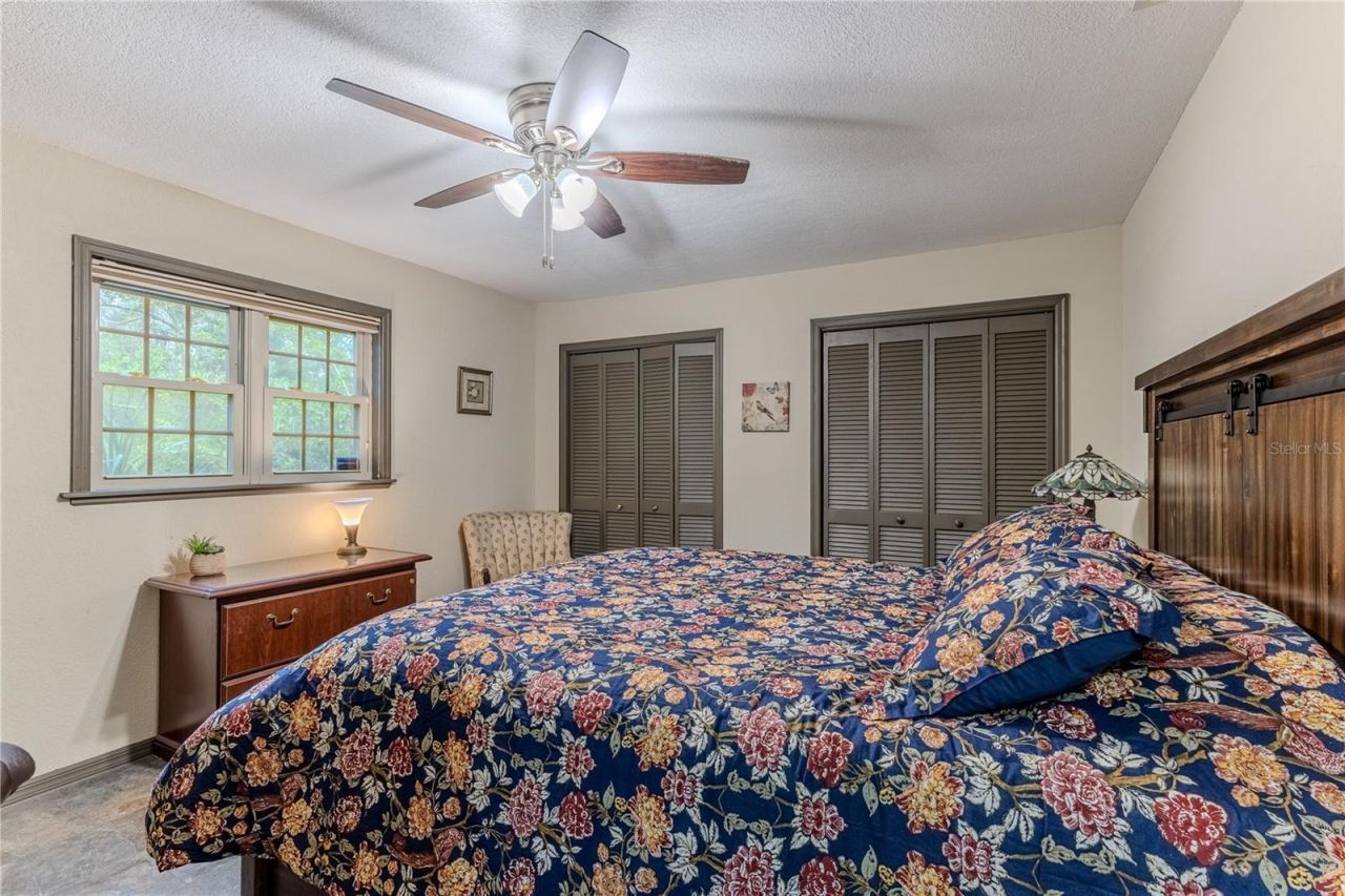 8480 Colma Street, Spring Hill, FL 34606 Photo