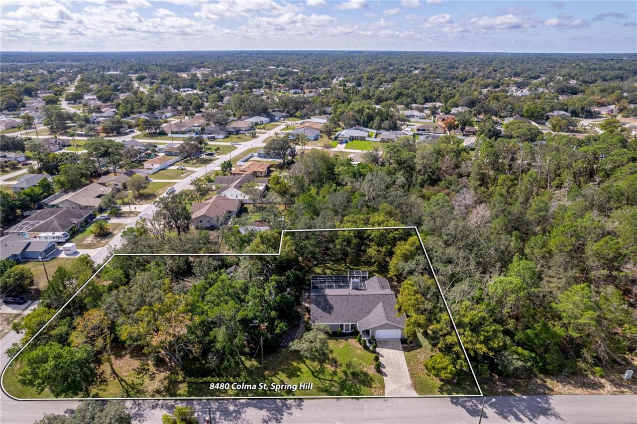 8480 Colma Street, Spring Hill, FL 34606 Photo