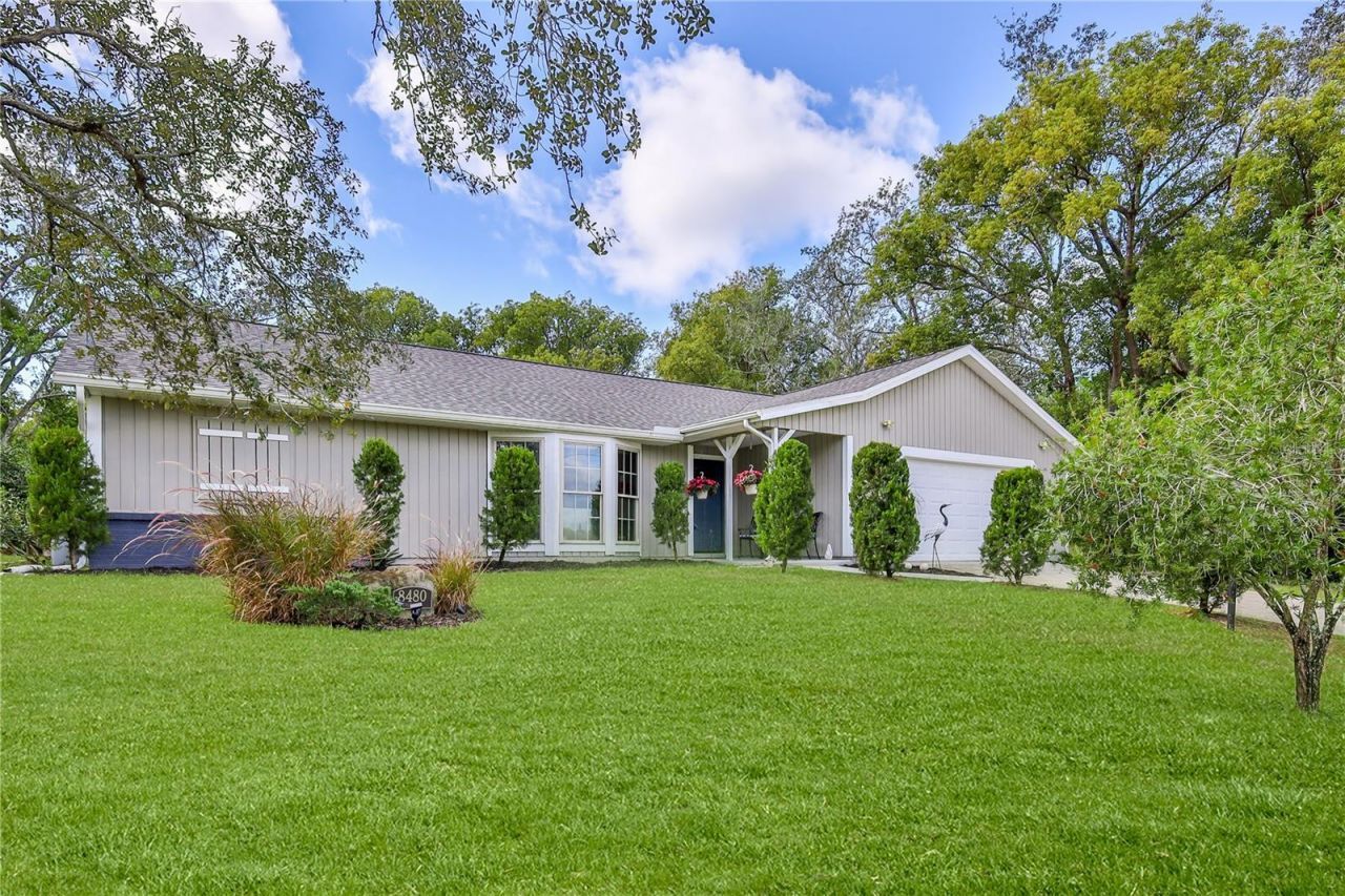 8480 Colma Street, Spring Hill, FL 34606 Photo