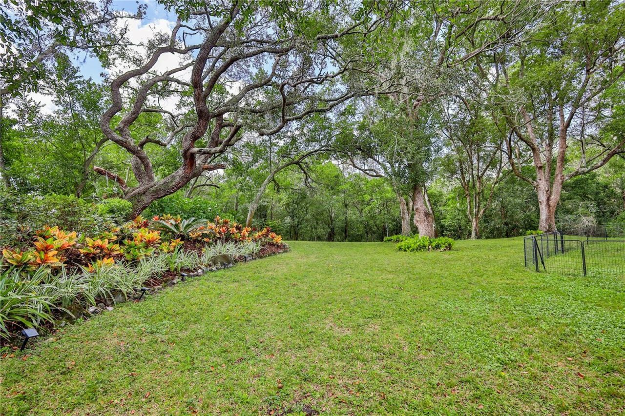 8480 Colma Street, Spring Hill, FL 34606 Photo