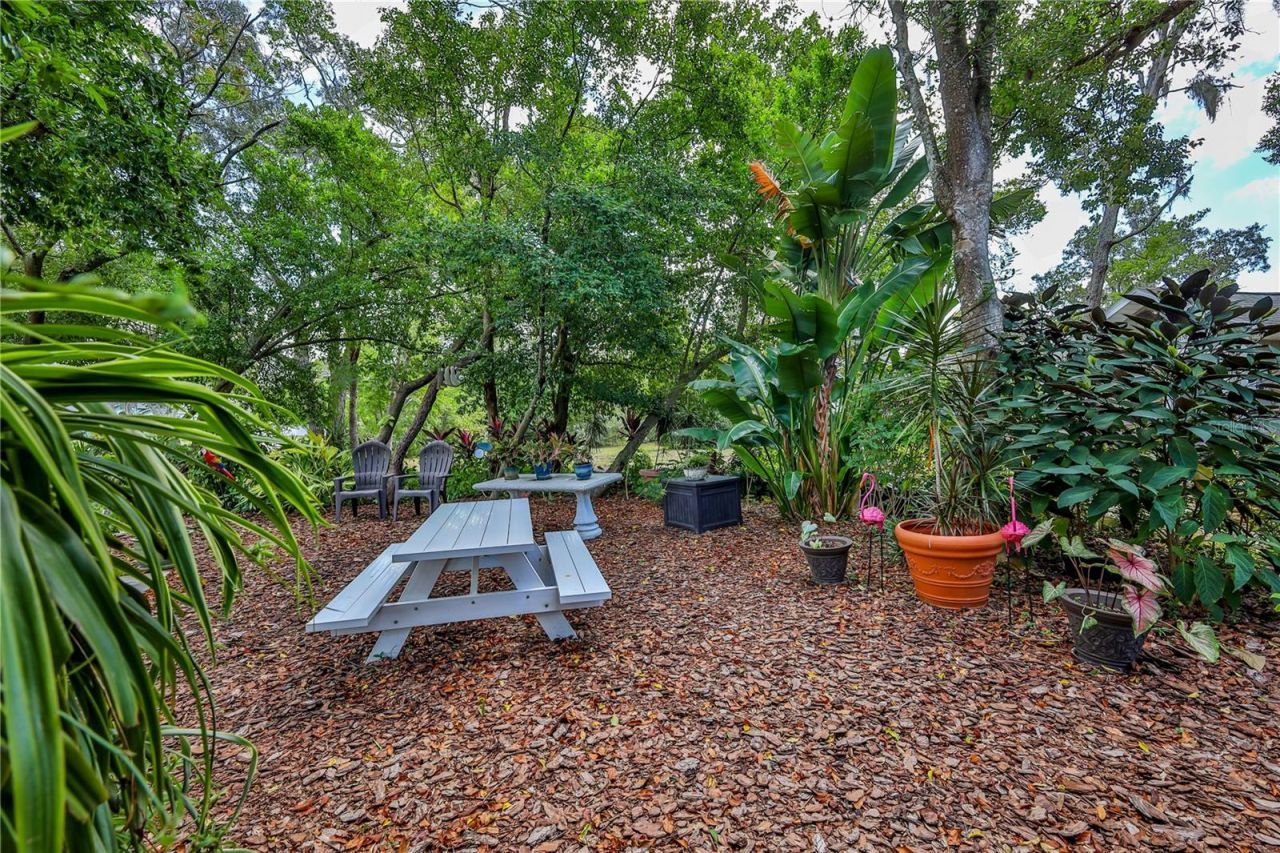 8480 Colma Street, Spring Hill, FL 34606 Photo