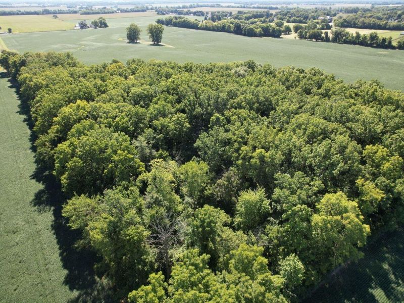 297 N State Route 560, Urbana, OH 43078 Photo 10