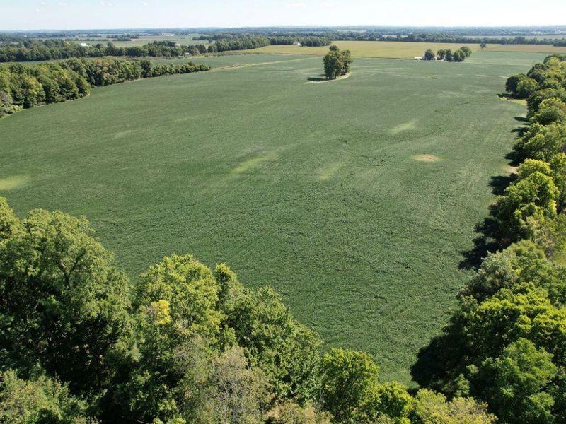 297 N State Route 560, Urbana, OH 43078 Photo 8