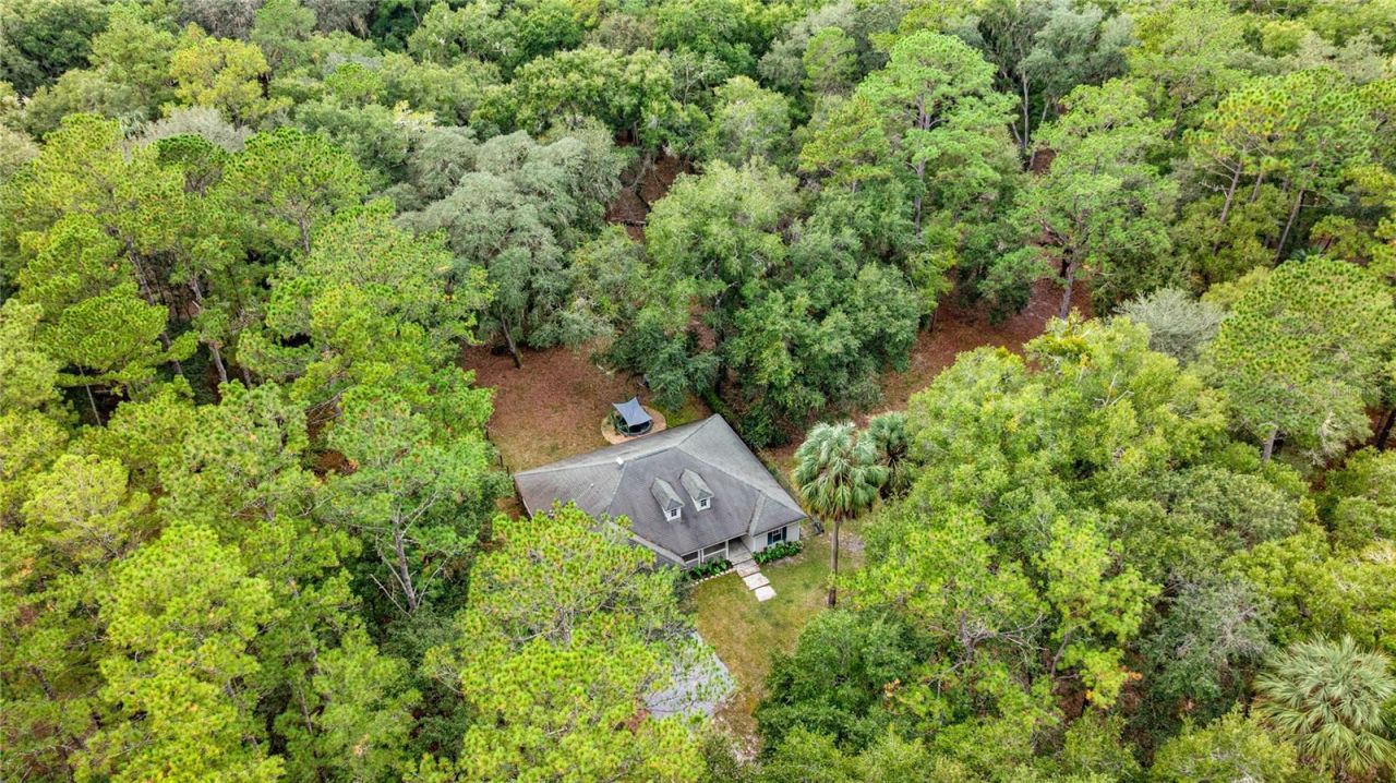 15888 NE 152nd Avenue, Fort Mc Coy, FL 32134 Photo