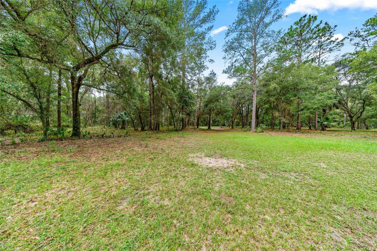 15888 NE 152nd Avenue, Fort Mc Coy, FL 32134 Photo