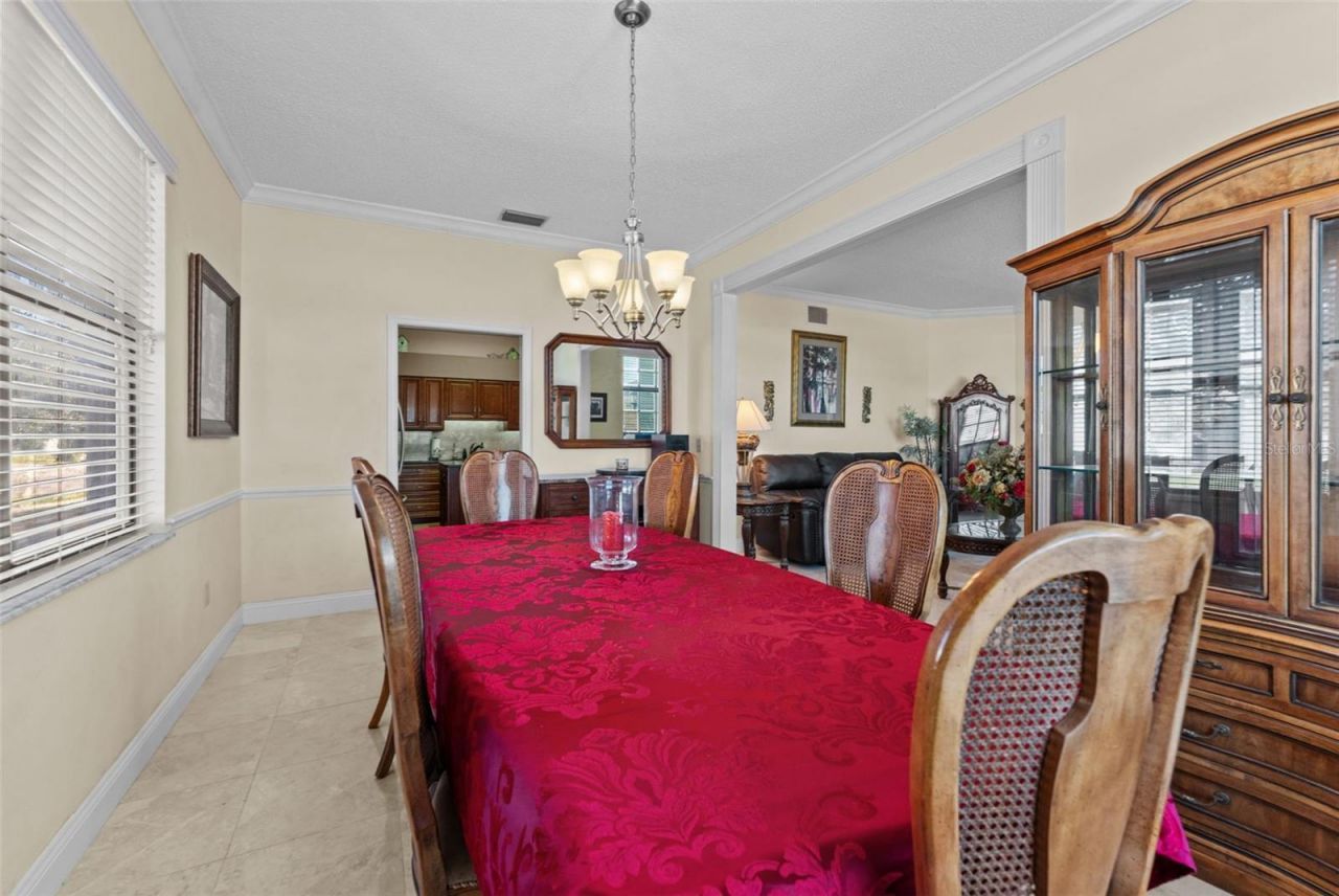 11429 Zenith Circle, Tampa, FL 33635 Photo