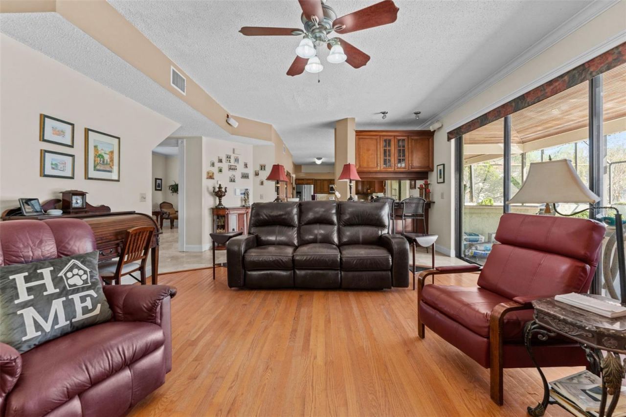 11429 Zenith Circle, Tampa, FL 33635 Photo