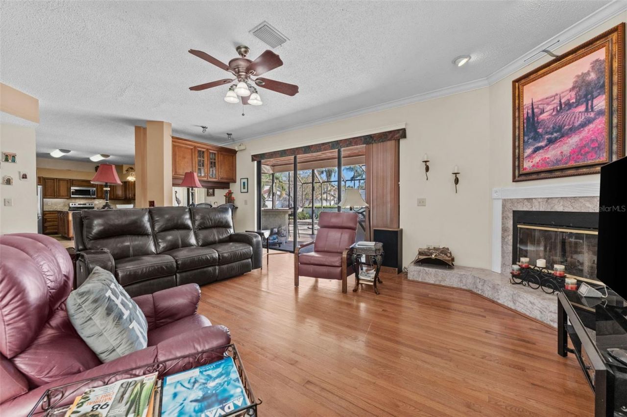 11429 Zenith Circle, Tampa, FL 33635 Photo