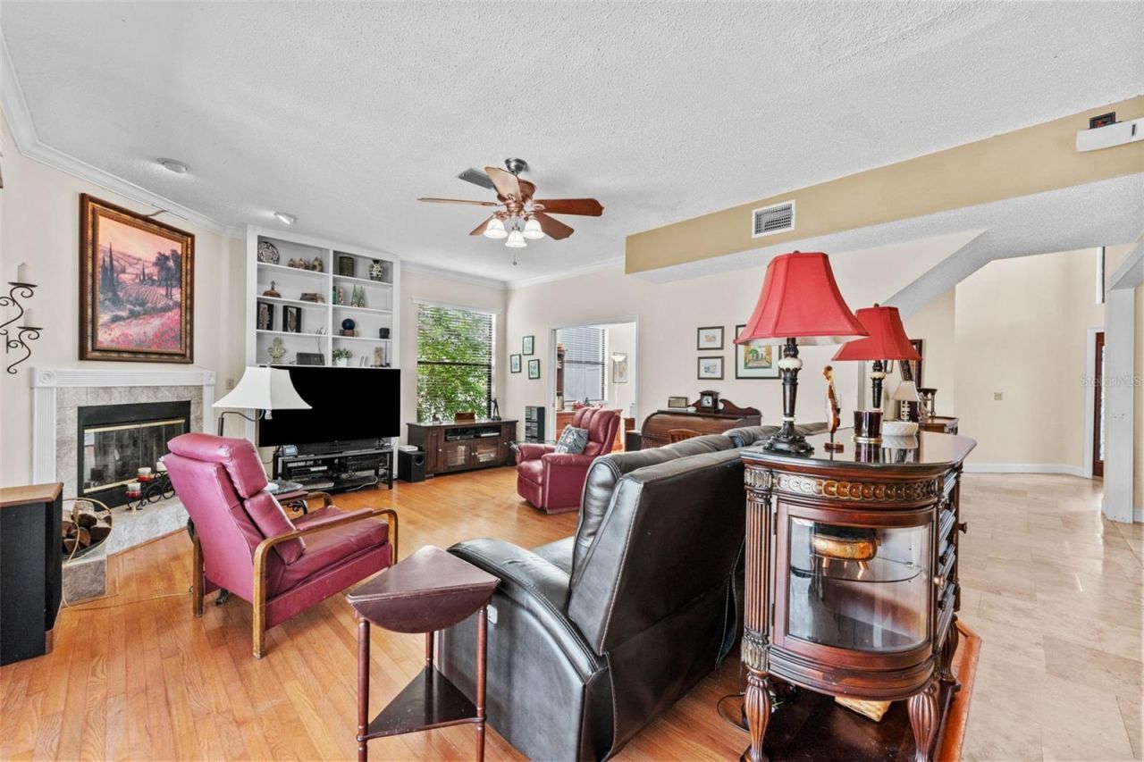 11429 Zenith Circle, Tampa, FL 33635 Photo