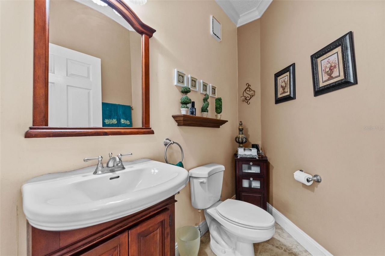 11429 Zenith Circle, Tampa, FL 33635 Photo