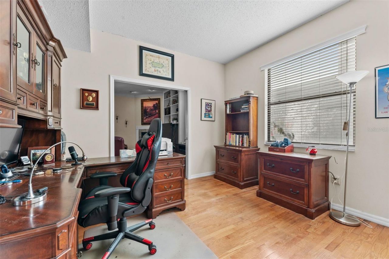 11429 Zenith Circle, Tampa, FL 33635 Photo