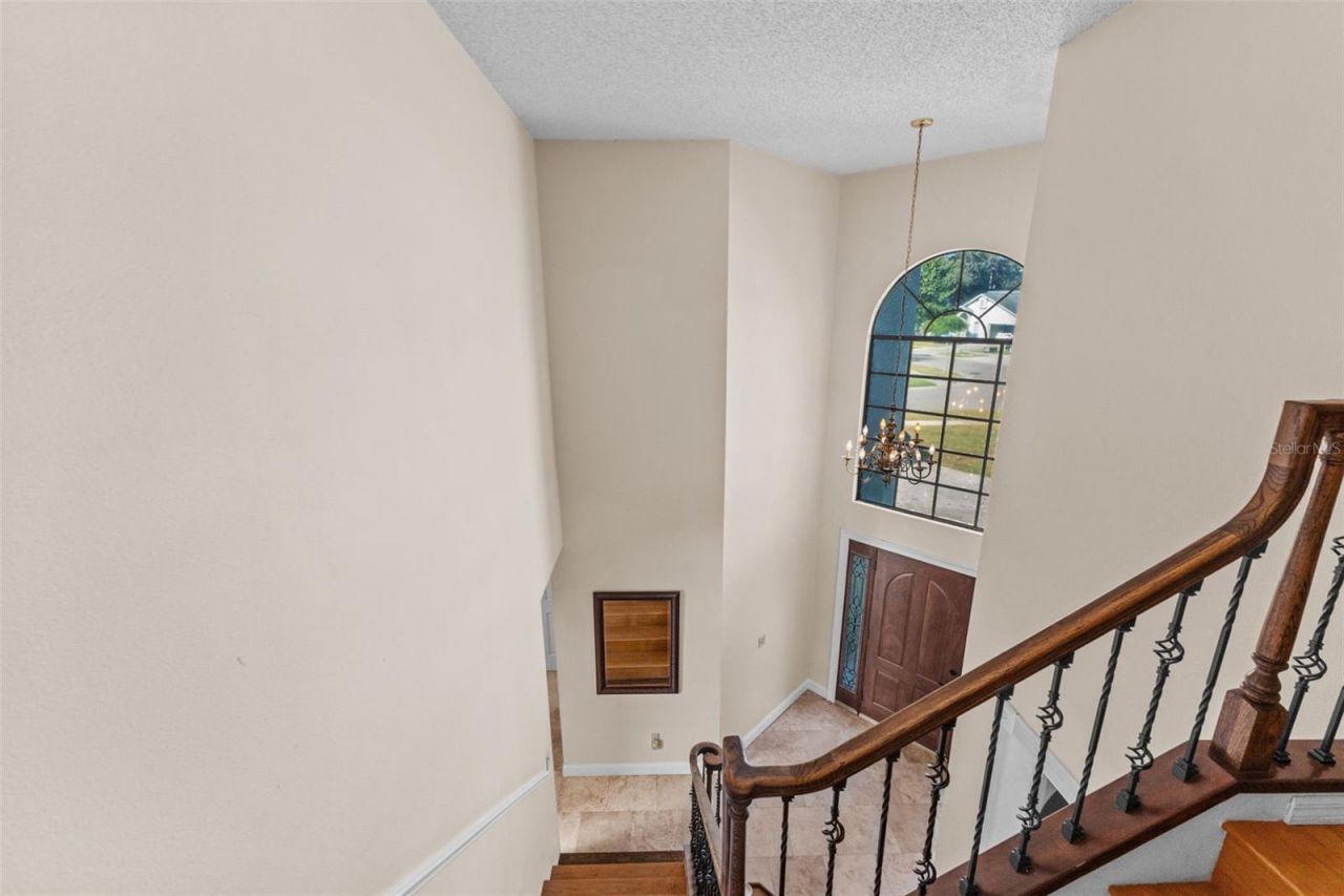 11429 Zenith Circle, Tampa, FL 33635 Photo