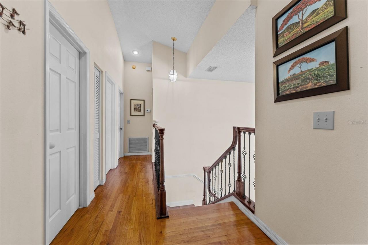 11429 Zenith Circle, Tampa, FL 33635 Photo