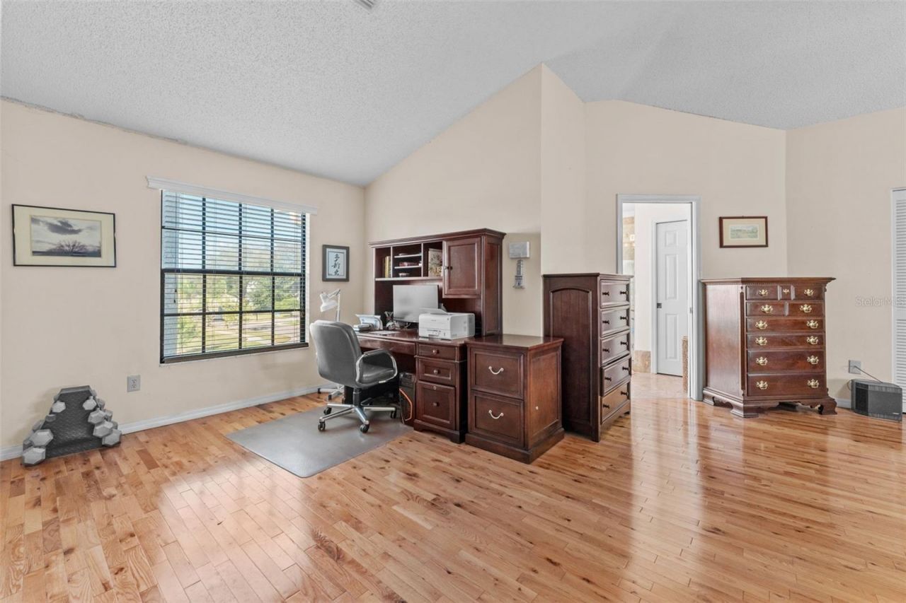 11429 Zenith Circle, Tampa, FL 33635 Photo