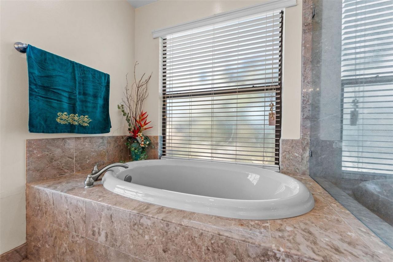 11429 Zenith Circle, Tampa, FL 33635 Photo