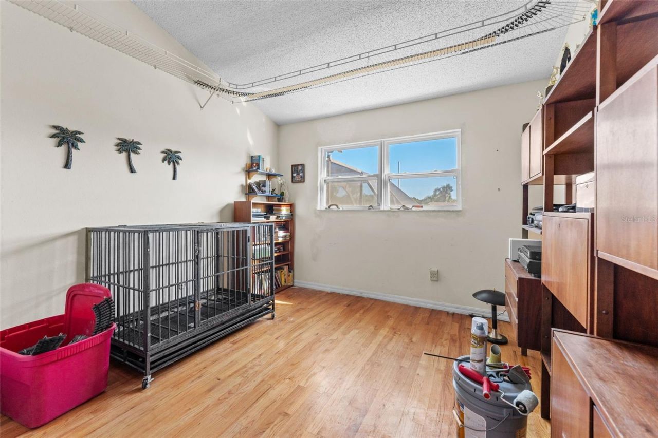 11429 Zenith Circle, Tampa, FL 33635 Photo