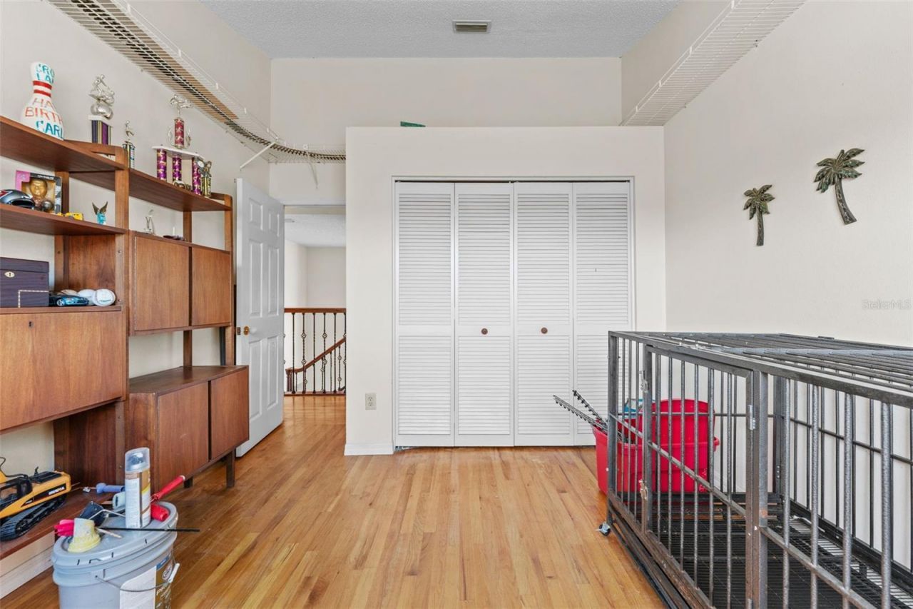 11429 Zenith Circle, Tampa, FL 33635 Photo