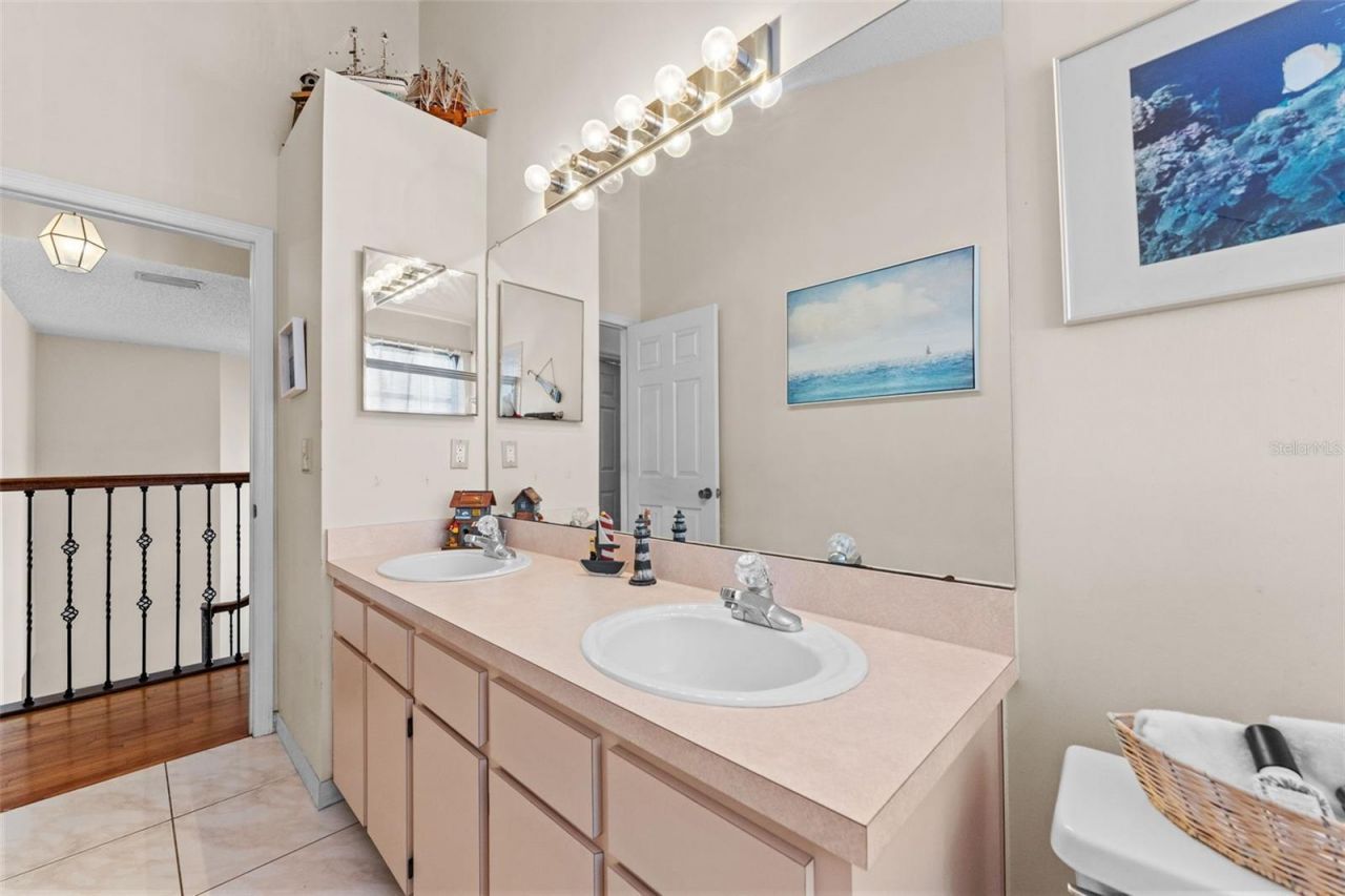 11429 Zenith Circle, Tampa, FL 33635 Photo