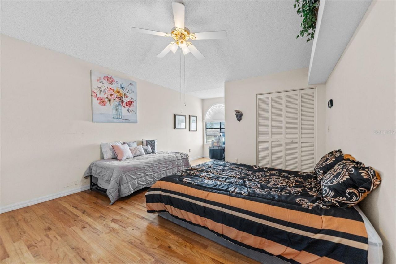 11429 Zenith Circle, Tampa, FL 33635 Photo