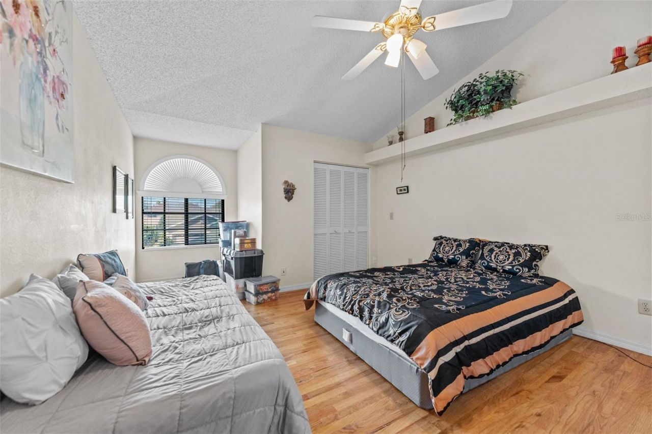 11429 Zenith Circle, Tampa, FL 33635 Photo