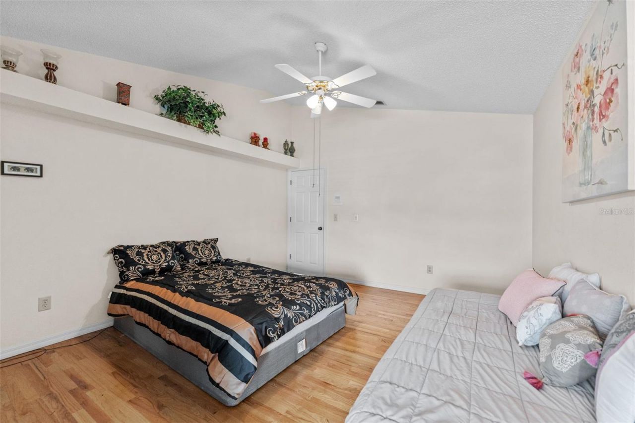 11429 Zenith Circle, Tampa, FL 33635 Photo