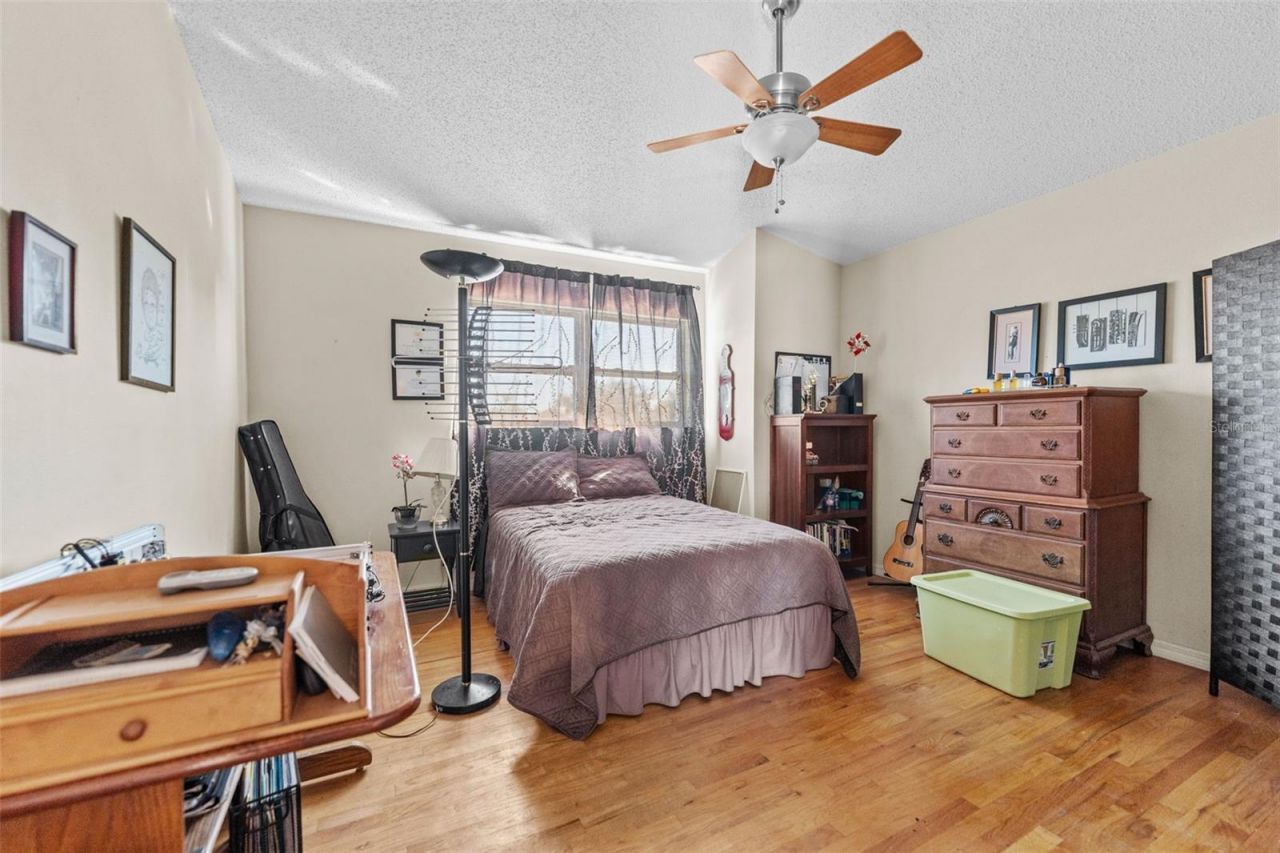 11429 Zenith Circle, Tampa, FL 33635 Photo