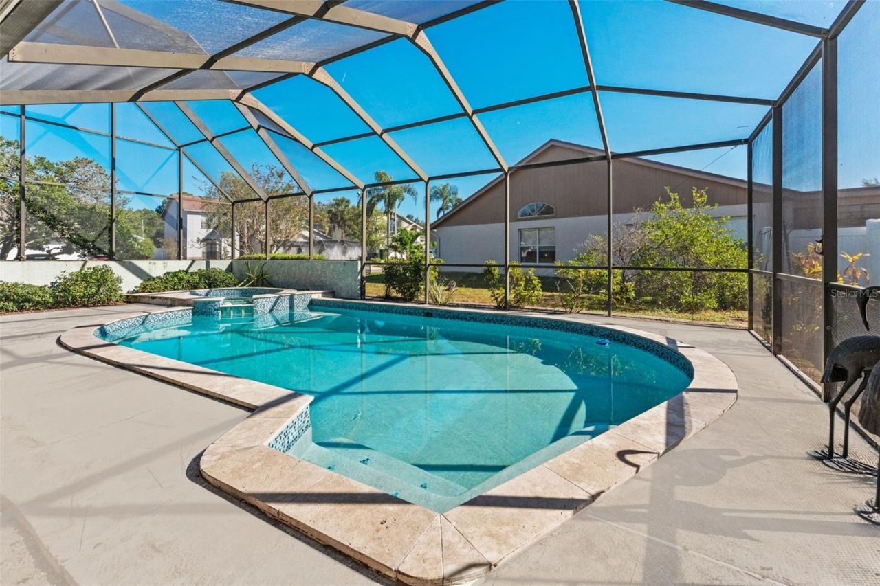 11429 Zenith Circle, Tampa, FL 33635 Photo