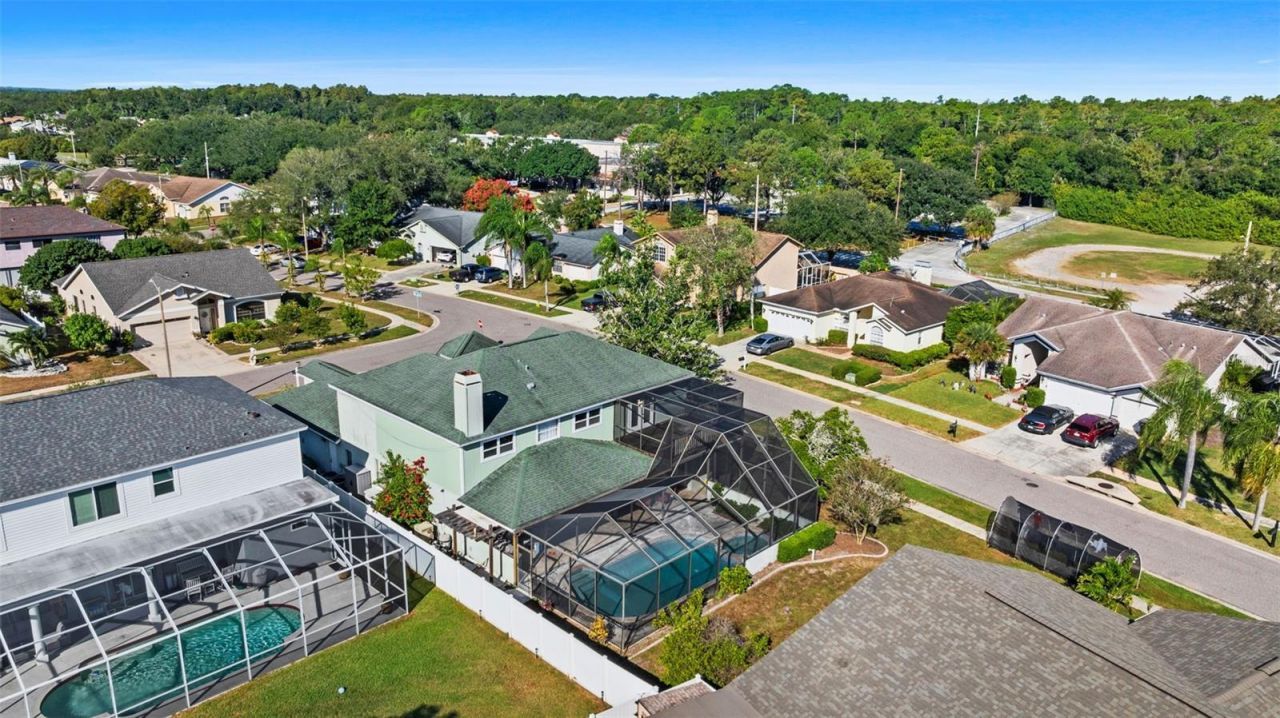 11429 Zenith Circle, Tampa, FL 33635 Photo