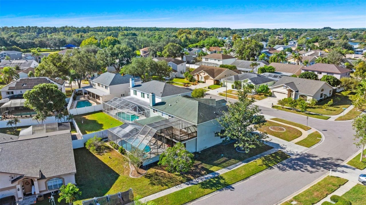 11429 Zenith Circle, Tampa, FL 33635 Photo