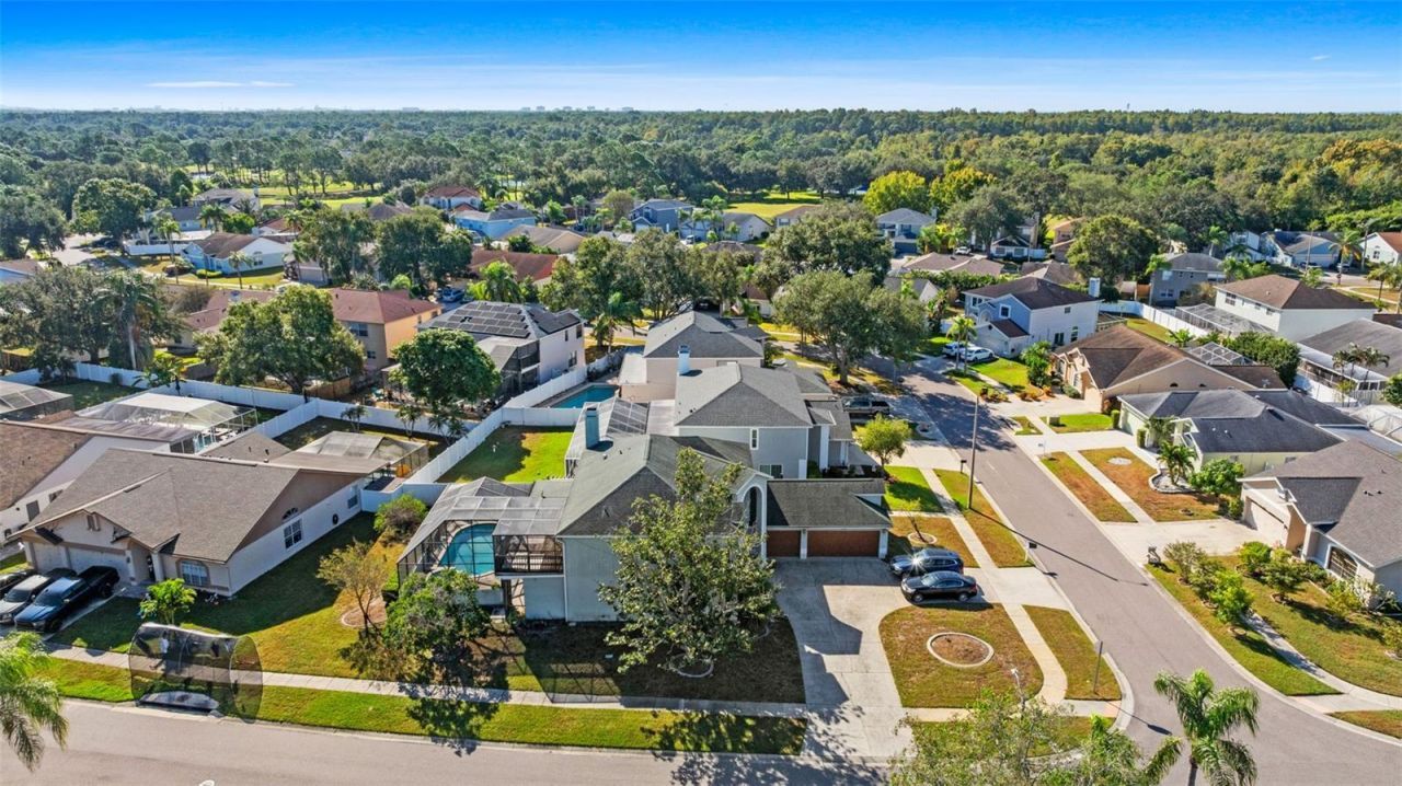 11429 Zenith Circle, Tampa, FL 33635 Photo