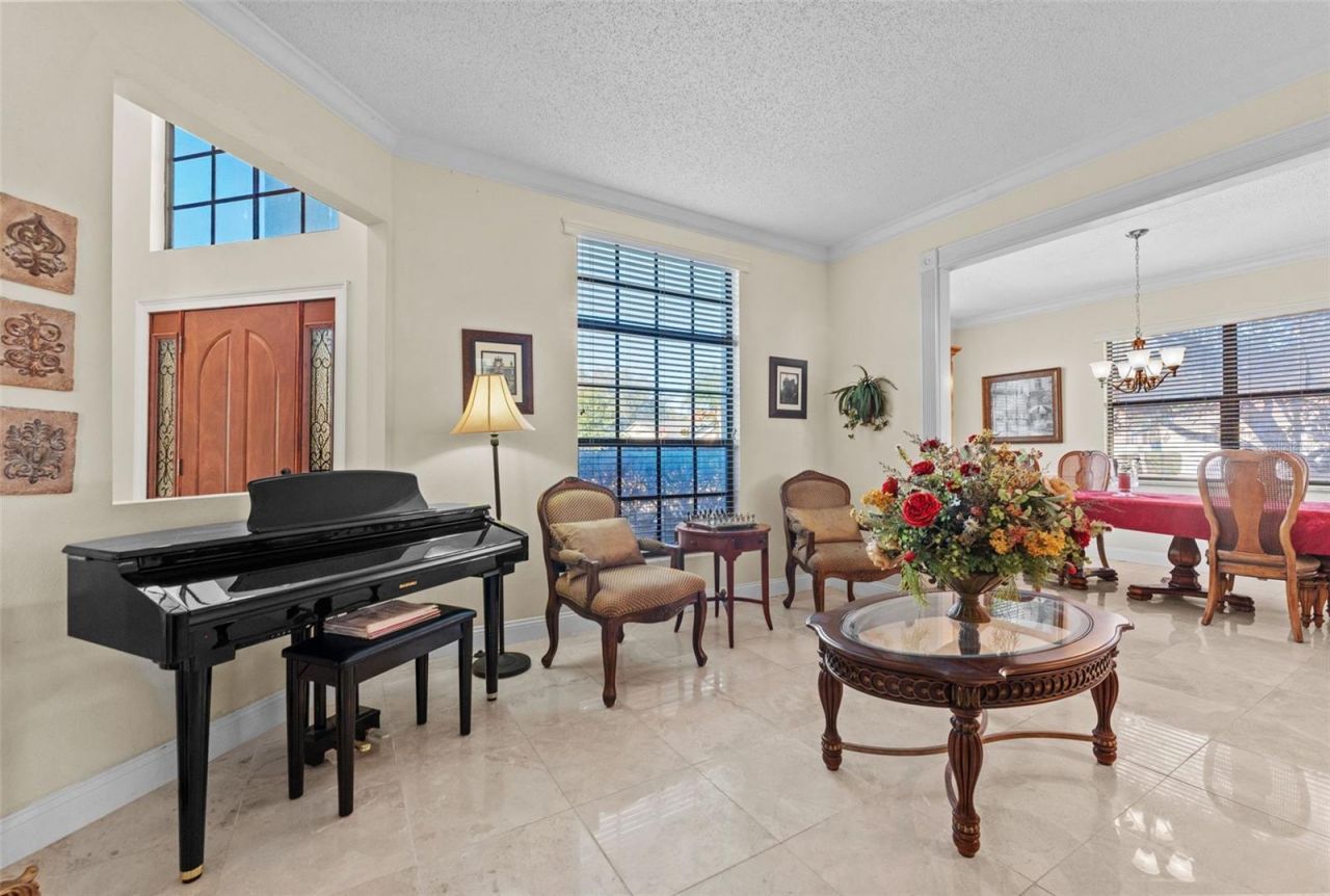 11429 Zenith Circle, Tampa, FL 33635 Photo