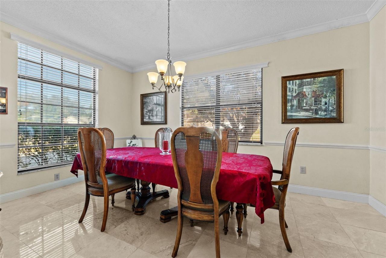 11429 Zenith Circle, Tampa, FL 33635 Photo