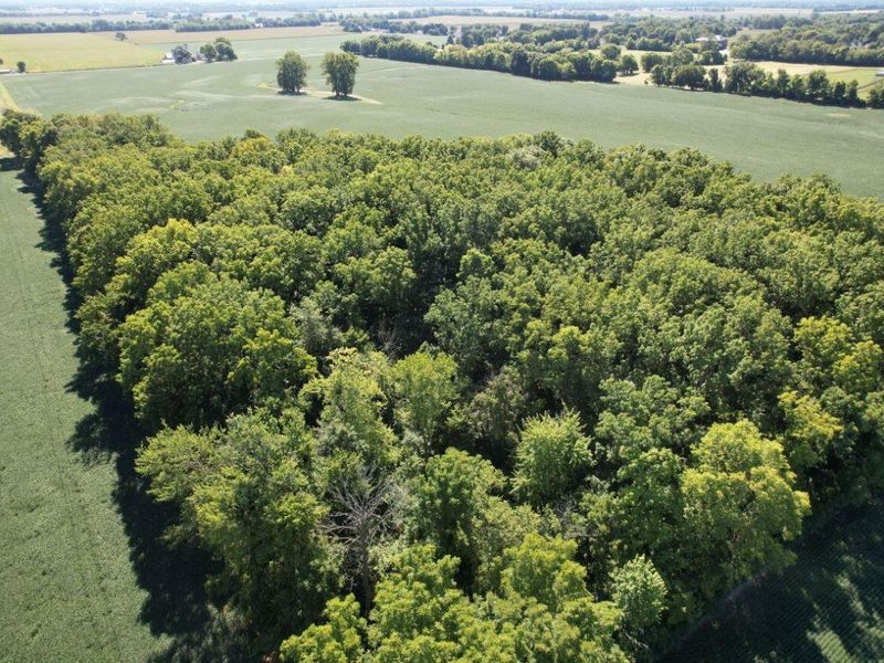 297 N State Route 560, Urbana, OH 43078 Photo 6