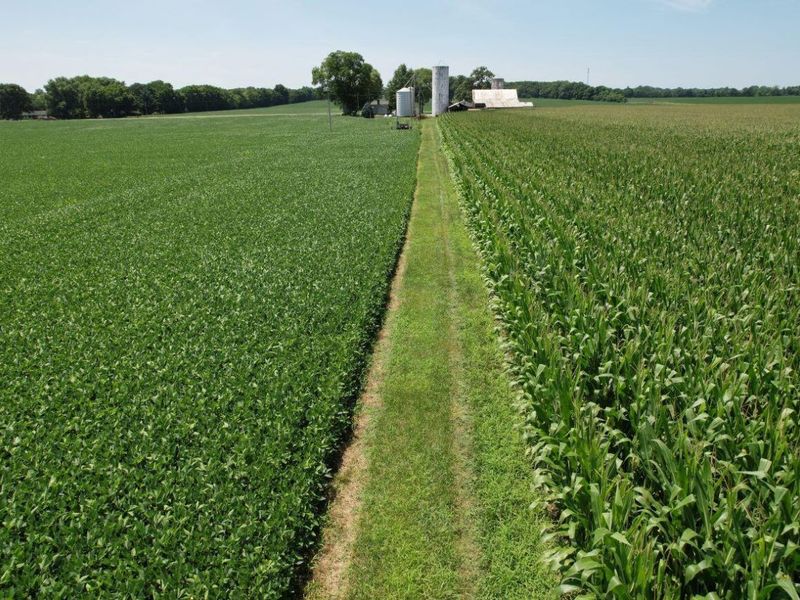 297 N State Route 560, Urbana, OH 43078 Photo 7