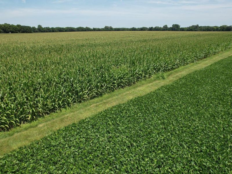 297 N State Route 560, Urbana, OH 43078 Photo 8