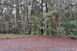 Creek Bottom Drive photo 4