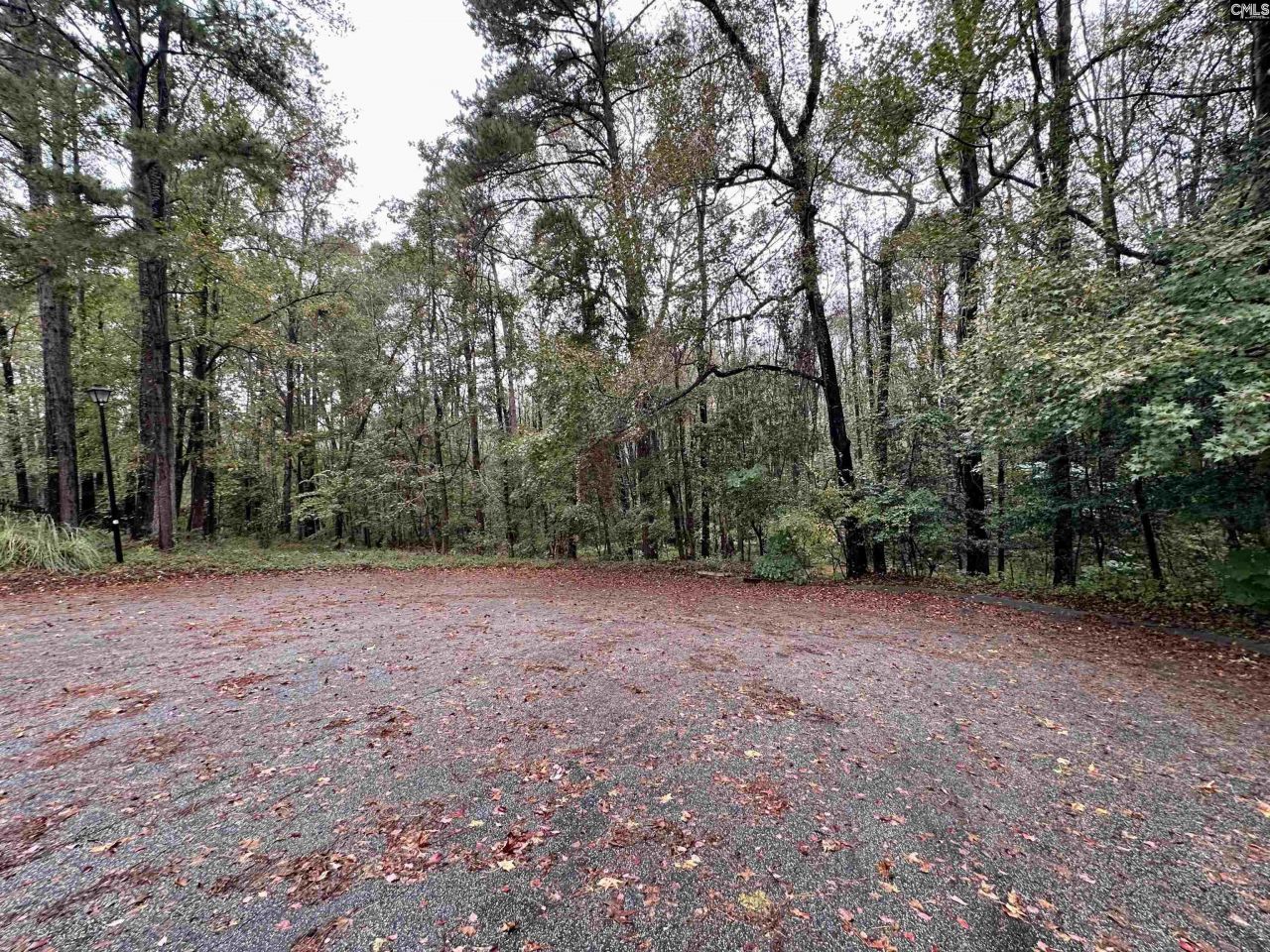 Creek Bottom Drive Photo 6