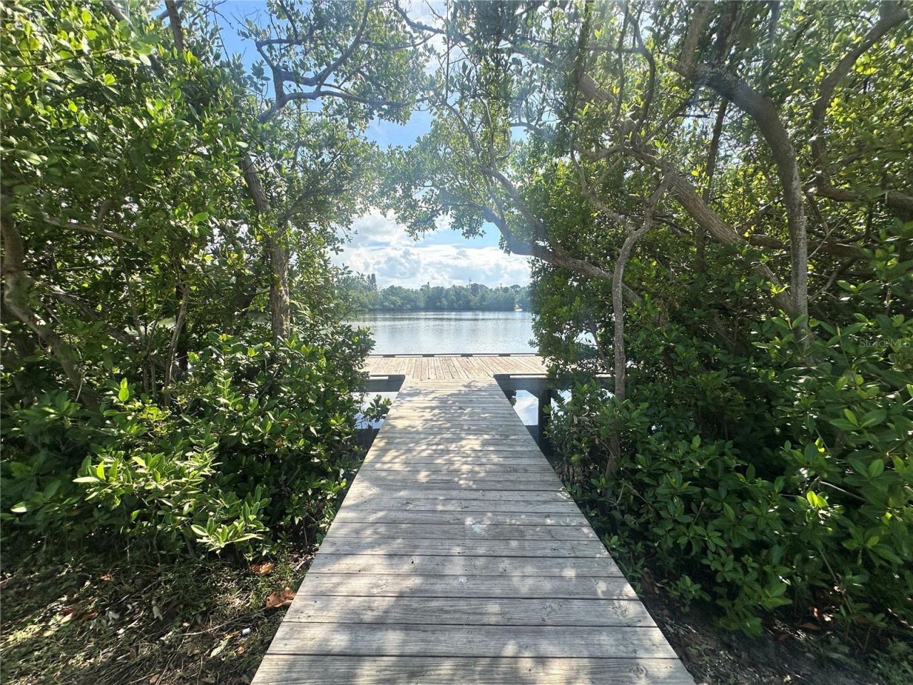 3673 Searobin Drive Se, Saint Petersburg, FL 33705 Photo