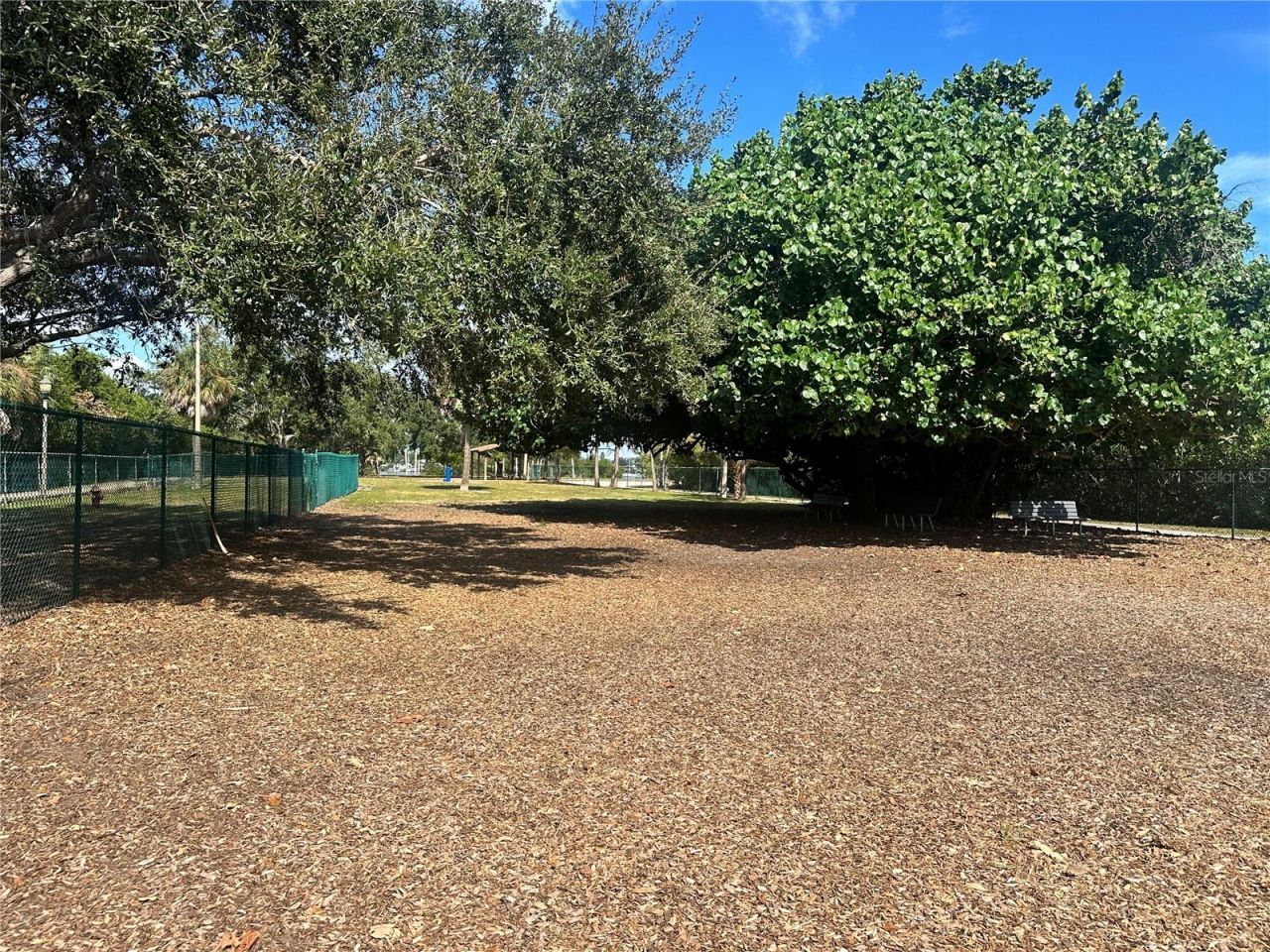 3673 Searobin Drive Se, Saint Petersburg, FL 33705 Photo