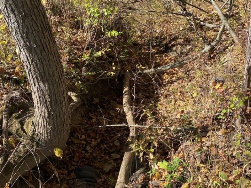 Shaw Road, Spencer, OH 44275 Photo 10