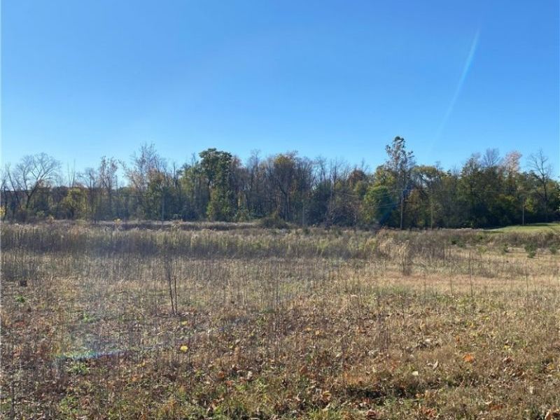 Shaw Road, Spencer, OH 44275 Photo 11