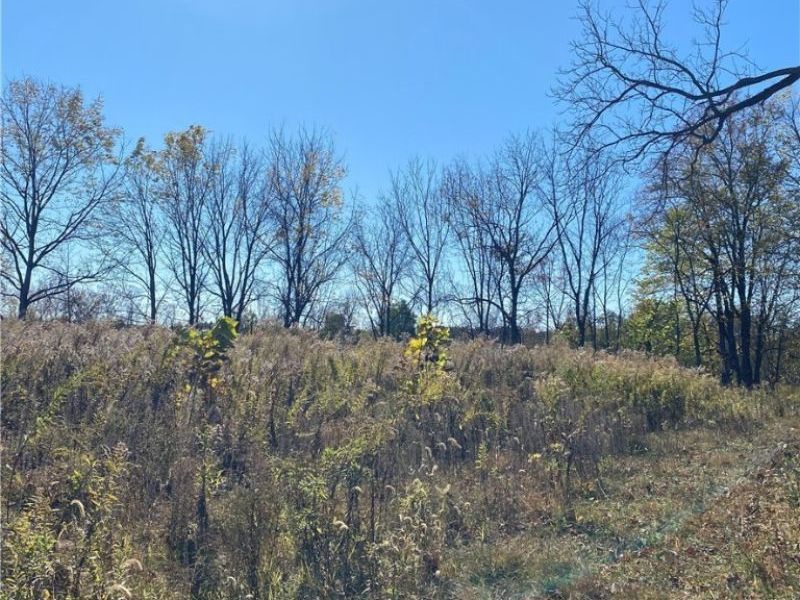 Shaw Road, Spencer, OH 44275 Photo 13