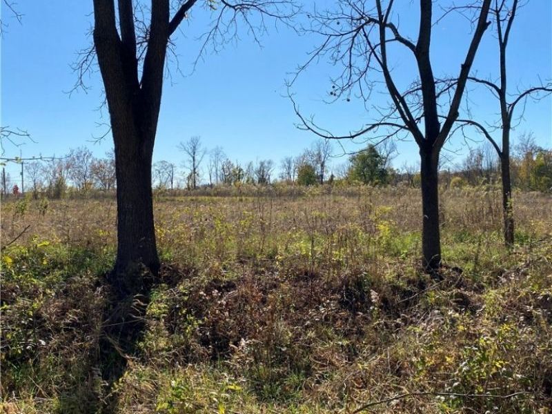 Shaw Road, Spencer, OH 44275 Photo 14