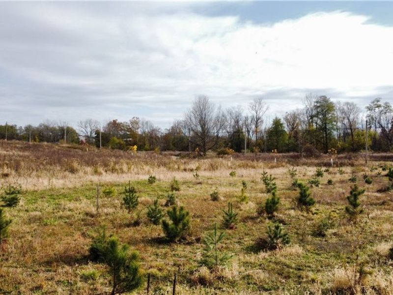 Shaw Road, Spencer, OH 44275 Photo 15