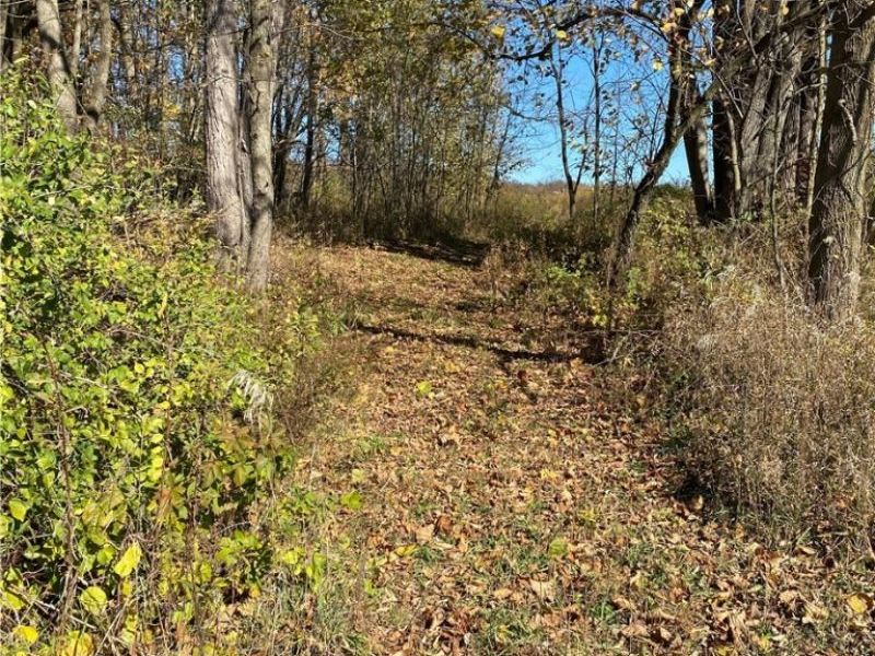 Shaw Road, Spencer, OH 44275 Photo 4