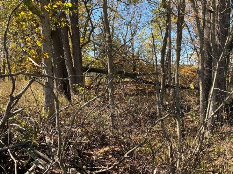 Shaw Road, Spencer, OH 44275 Photo 6