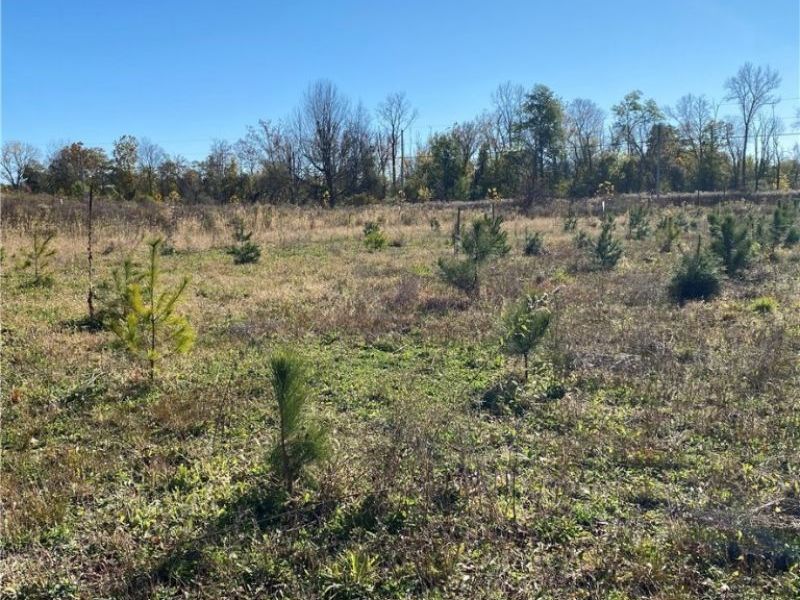 Shaw Road, Spencer, OH 44275 Photo 7