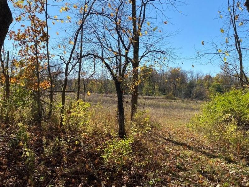 Shaw Road, Spencer, OH 44275 Photo 8